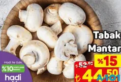 TABAK MANTAR TABAK MANTAR